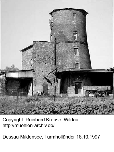 Foto des Turmholländer von Reinhard Krause